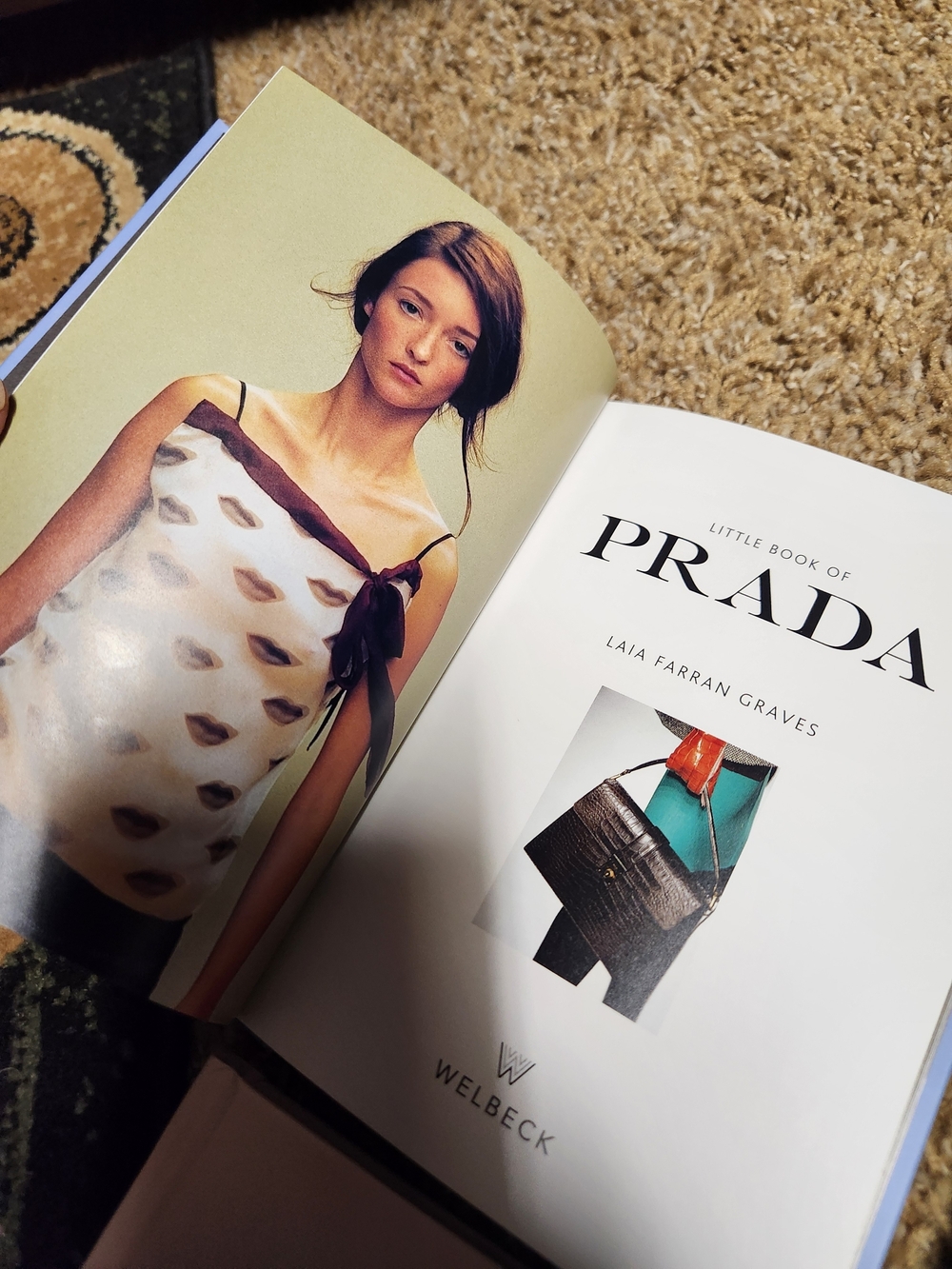 Little Book Set - Chanel, Prada, Gucci, Dior (Black, Blue, Gold, Cream) - Picture 7 of 8